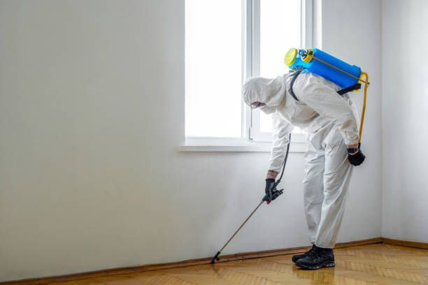 Best Cockroach Control Services  in Carlton, OR